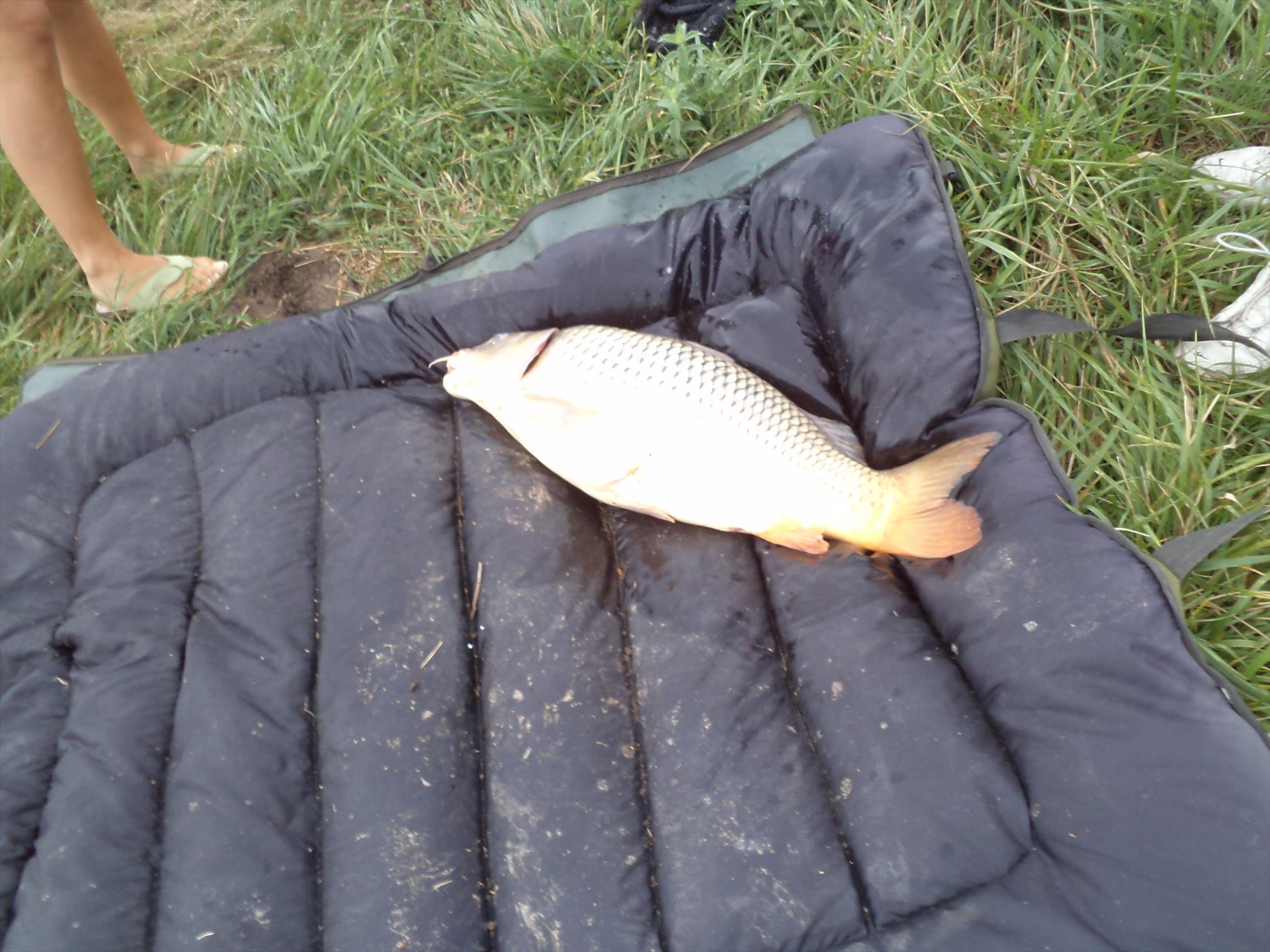 Diverse - dsc00323.JPG